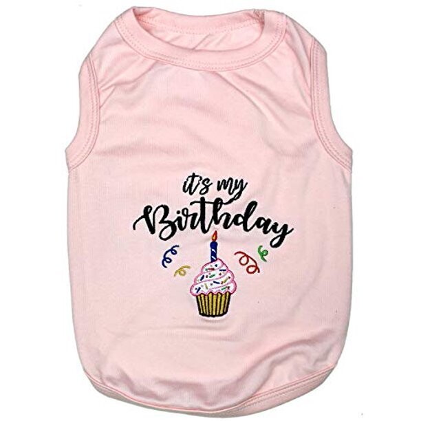 Parisian Birthday Shirt Pink 2XL