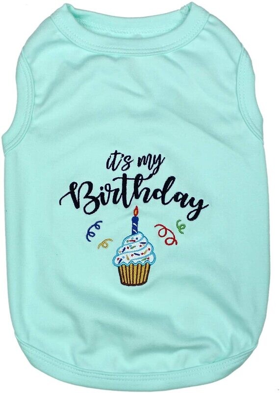 Parisian Birthday Shirt Mint 3XL