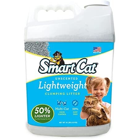 Pioneer Smart Cat Litter 10lb Lightweight