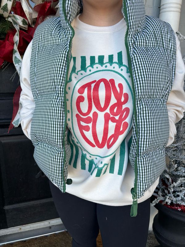 AD5711 Gingham Puffer Vest