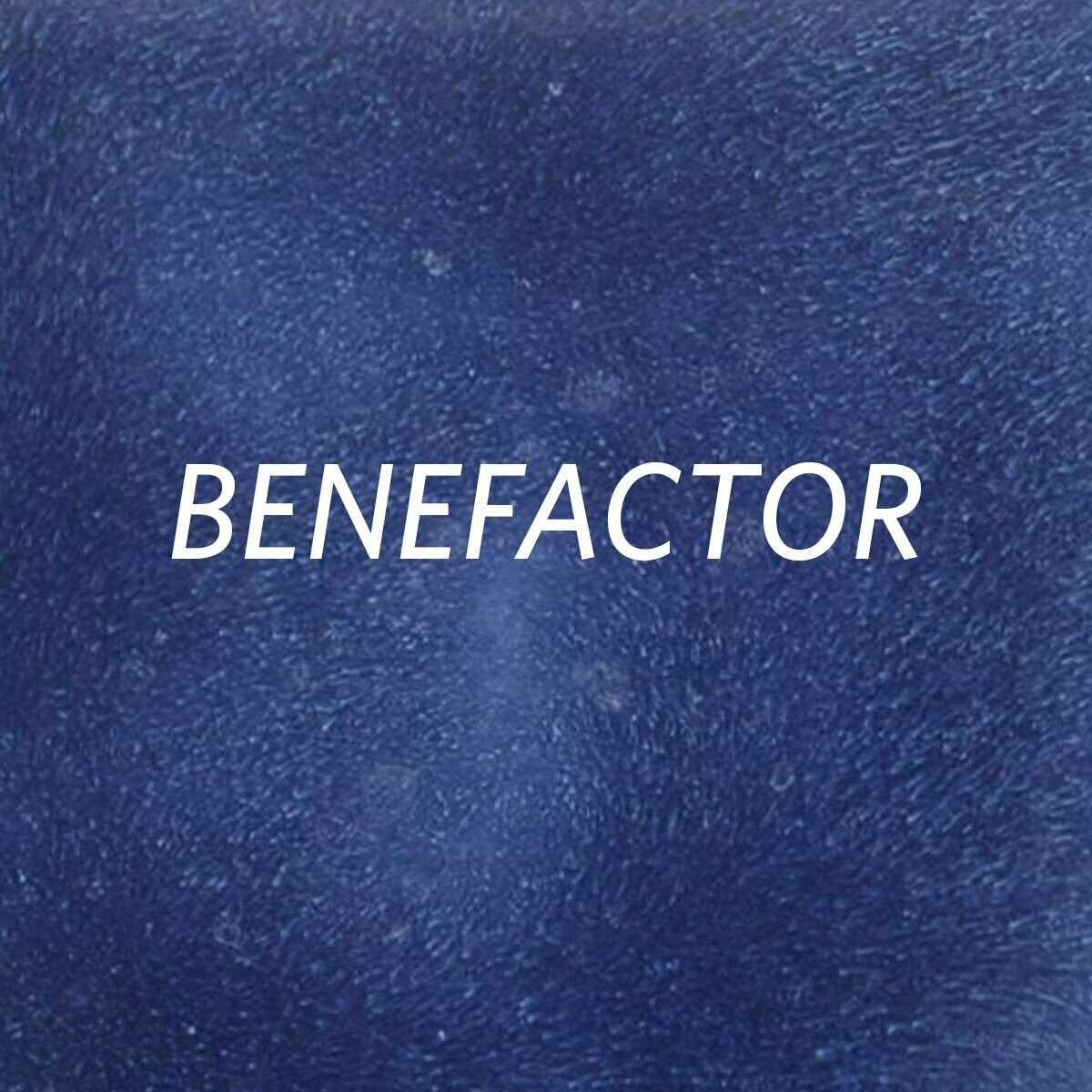 FFT Benefactor Membership