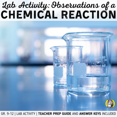 Lab Activity: Observations of a Chemical Reaction