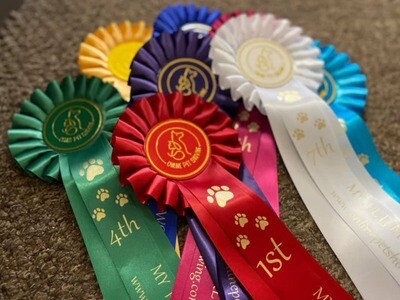 CLASS 17: CUTE AS A BUTTON (FREE 2 X PAID ENTRIES) CLASS 17: CUTE AS A BUTTON (FREE 2 X PAID ENTRIES)