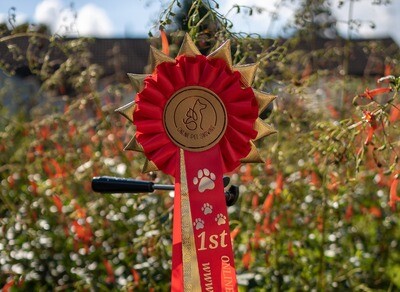 CLASS 18: ONLINE PET SHOWING'S COVER STAR: SEPTEMBER CLASS 18: ONLINE PET SHOWING'S COVER STAR: SEPTEMBER