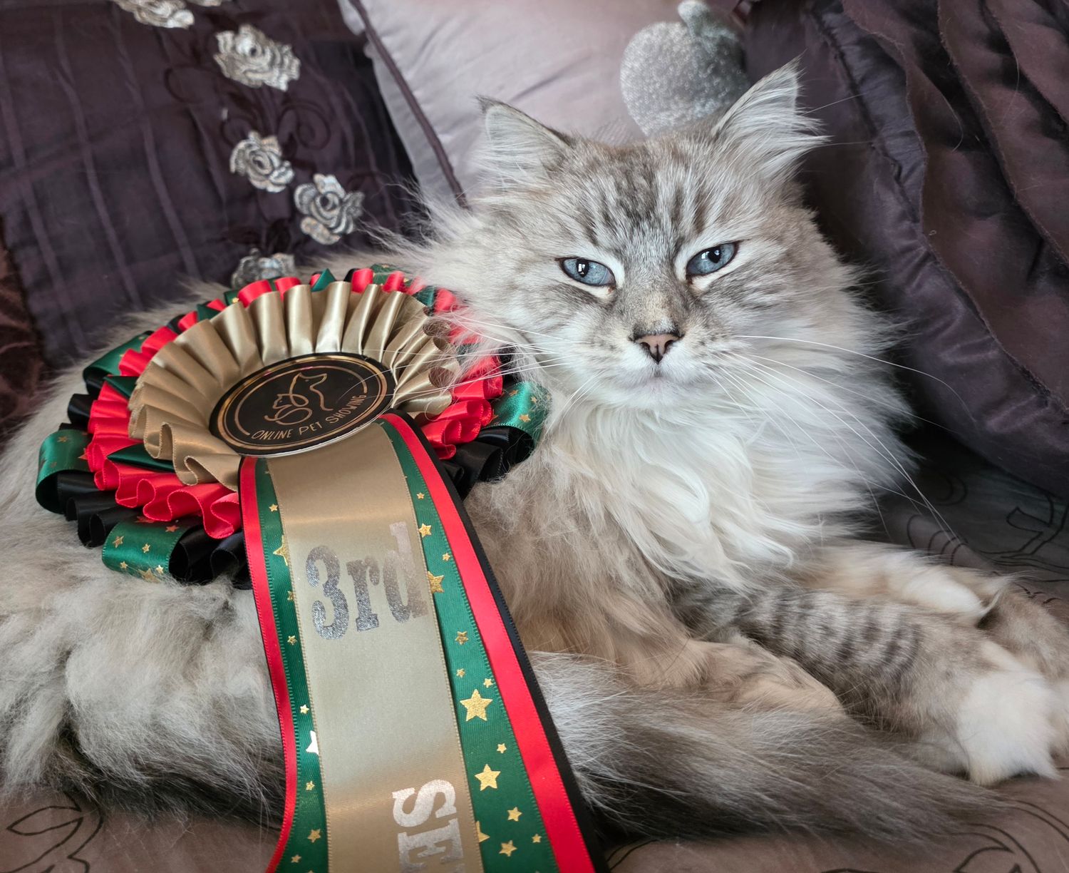 ALL THINGS PET - Limited class