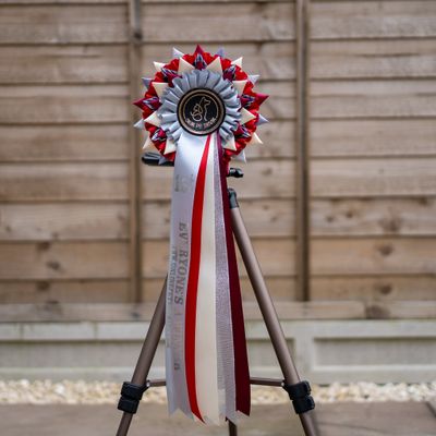 CLASS 18: EVERYONE'S A WINNER