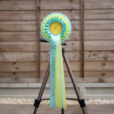 CLASS 1: COUNTRY CHARM