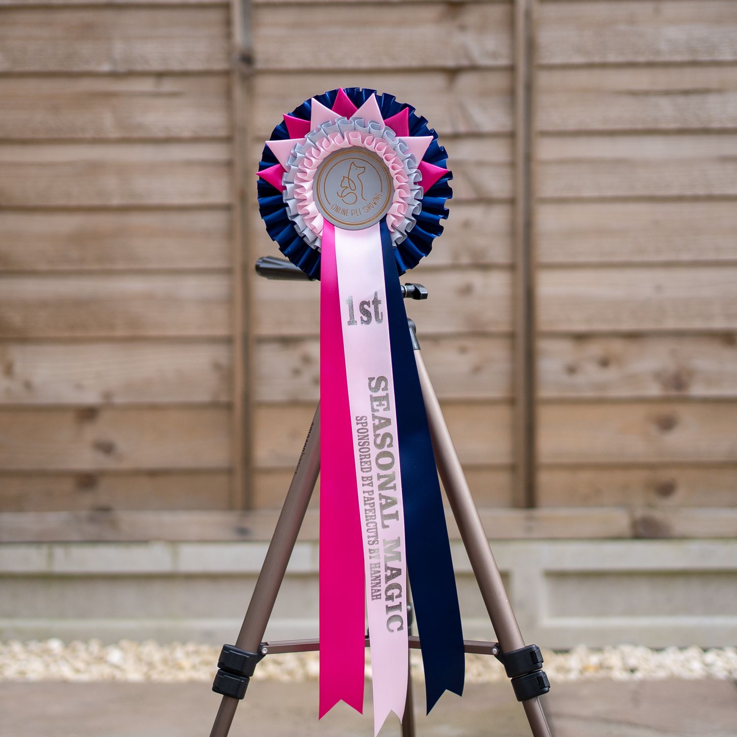 CLASS 4: SEASONAL MAGIC