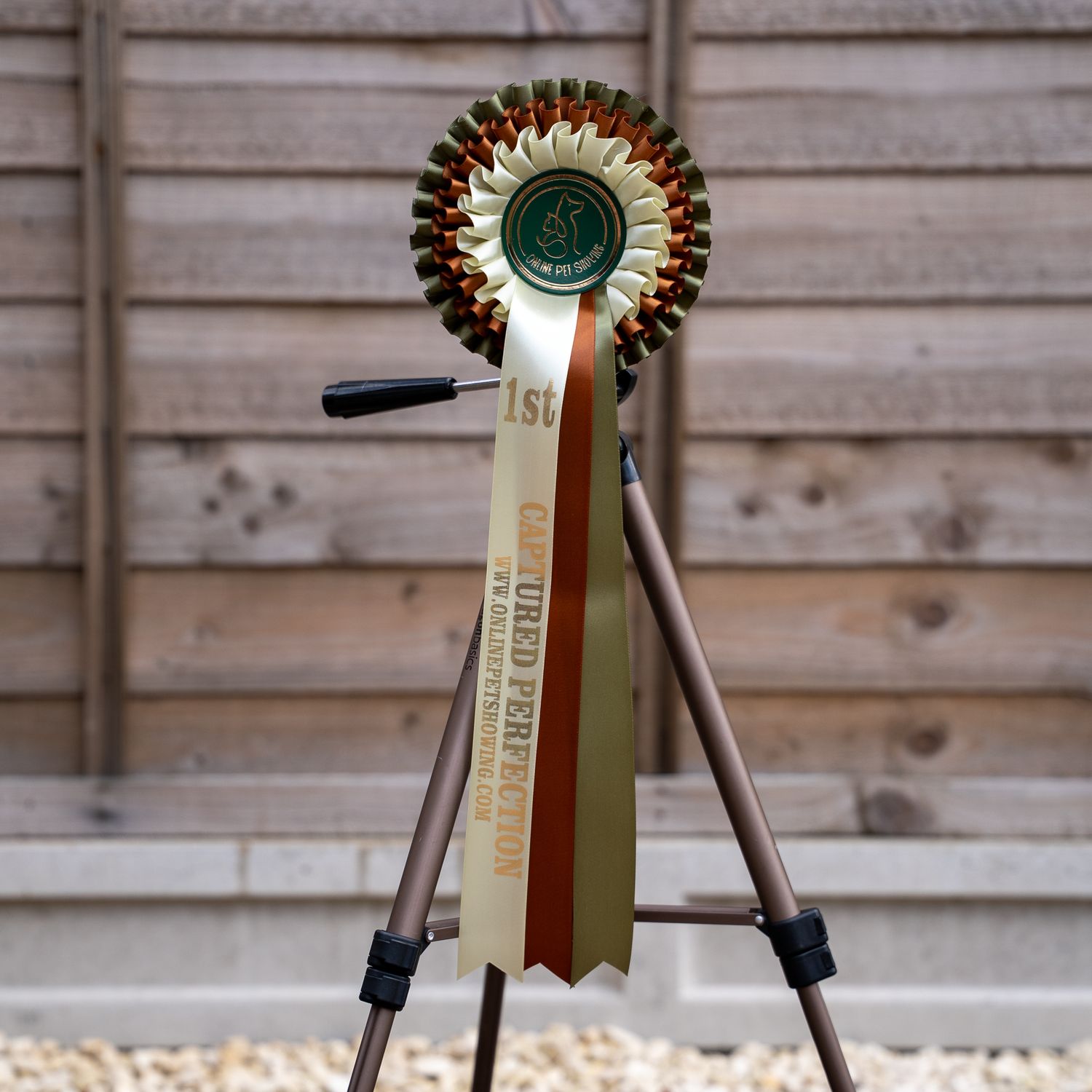 CLASS 6: CAPTURED PERFECTION