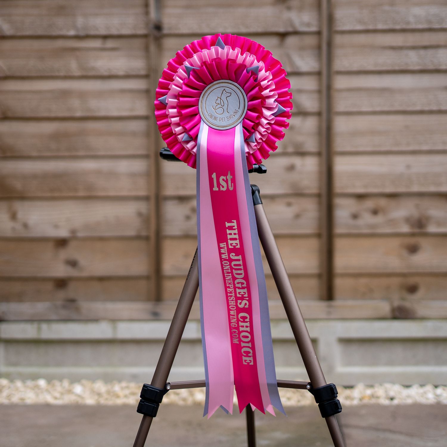 CLASS 9: THE JUDGE'S CHOICE