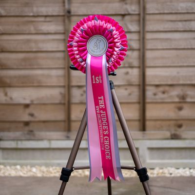 CLASS 9: THE JUDGE'S CHOICE