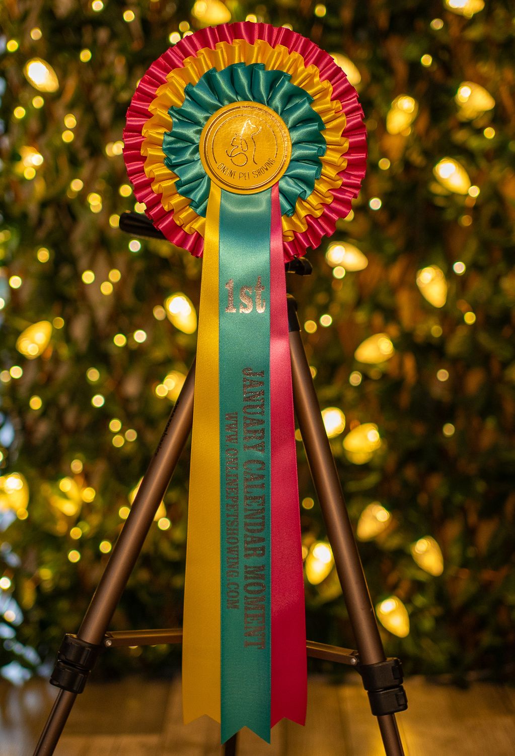 CLASS 14: JANUARY CALENDAR MOMENT