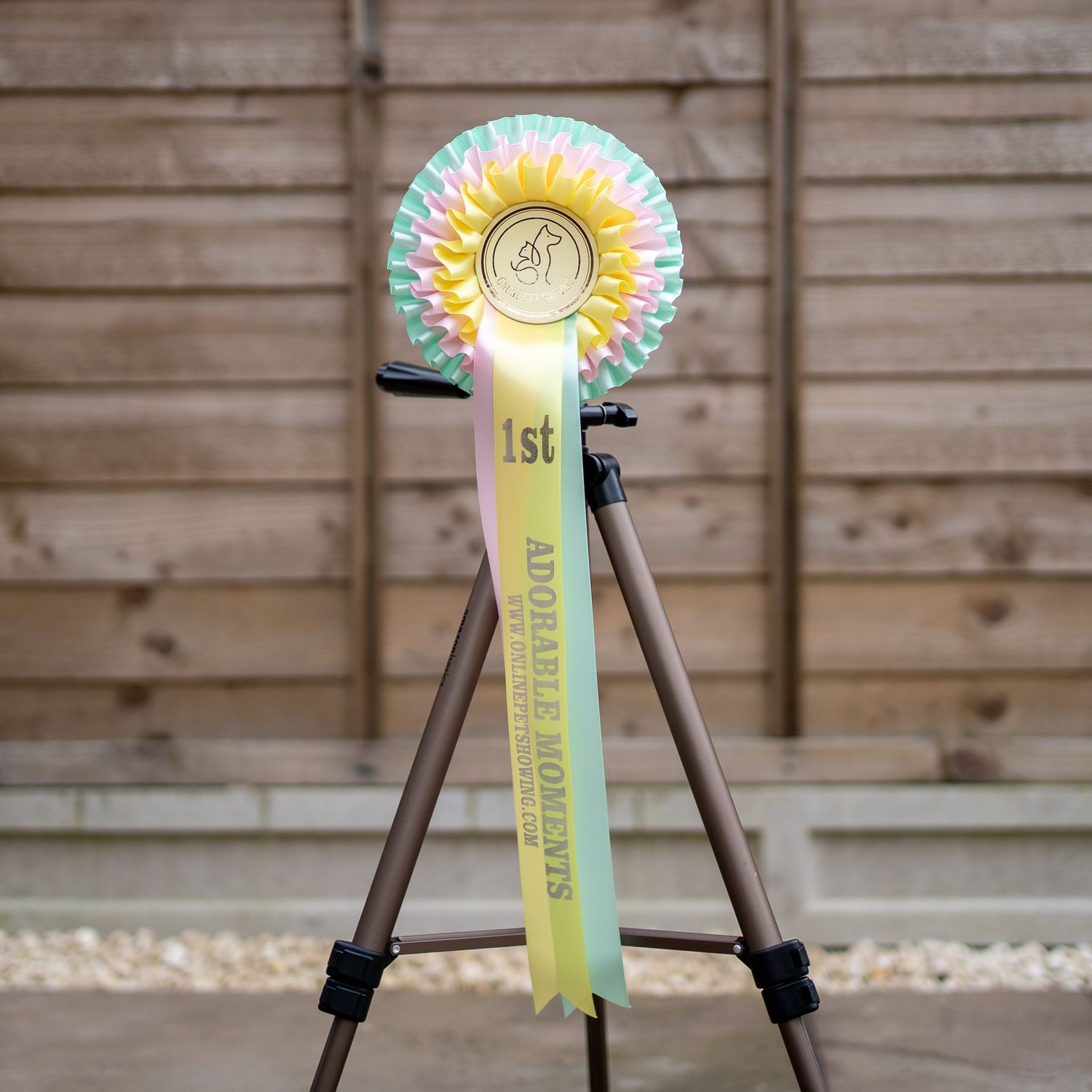 CLASS 17: ADORABLE MOMENTS