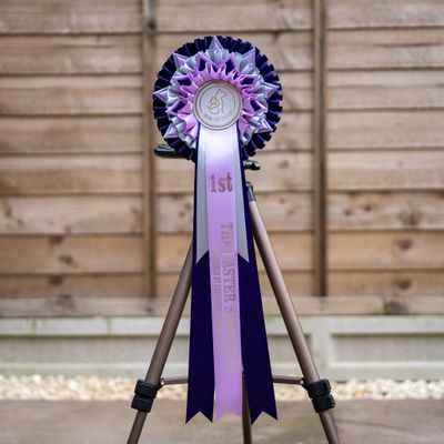 CLASS 7: THE EASTER SHOWCASE