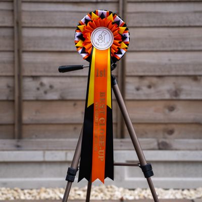 CLASS 8: BEST CLOSE-UP