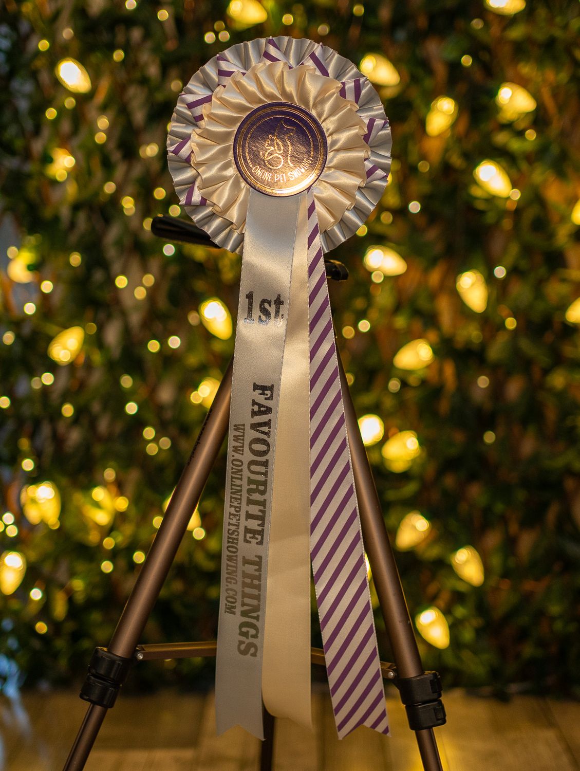 CLASS 11: FAVOURITE THINGS