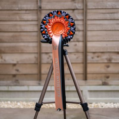 CLASS 11: INSTA-WORTHY