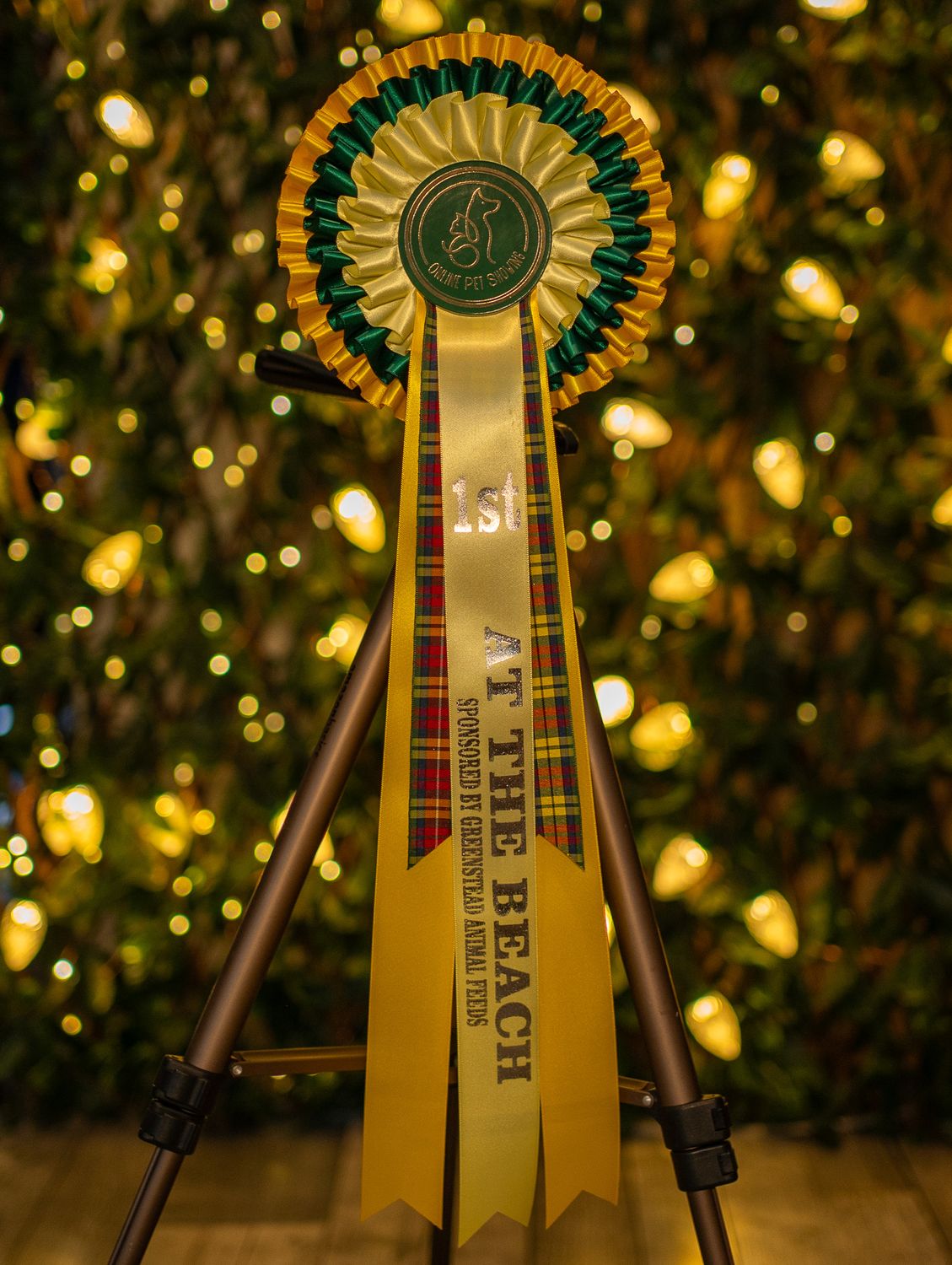 CLASS 2: AT THE BEACH