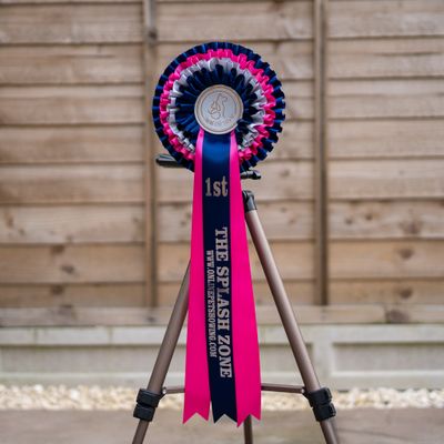 CLASS 2: THE SPLASH ZONE