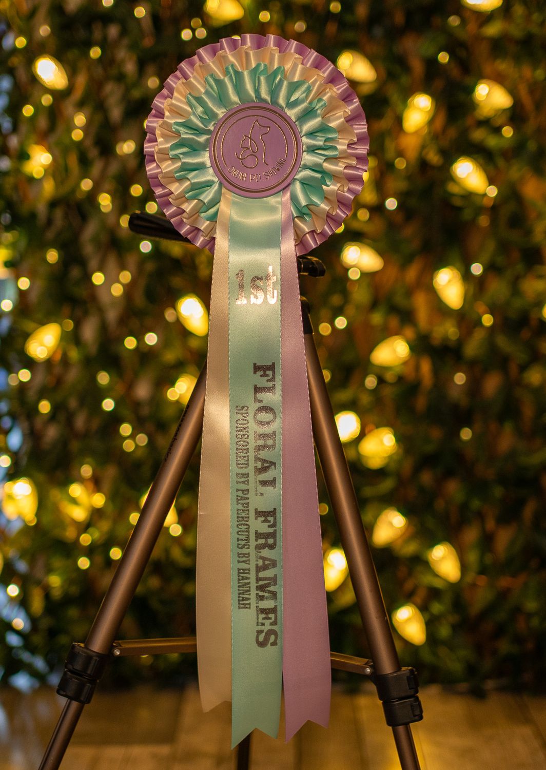 CLASS 5: FLORAL FRAME