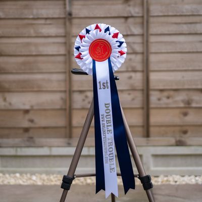 CLASS 5: DOUBLE TROUBLE