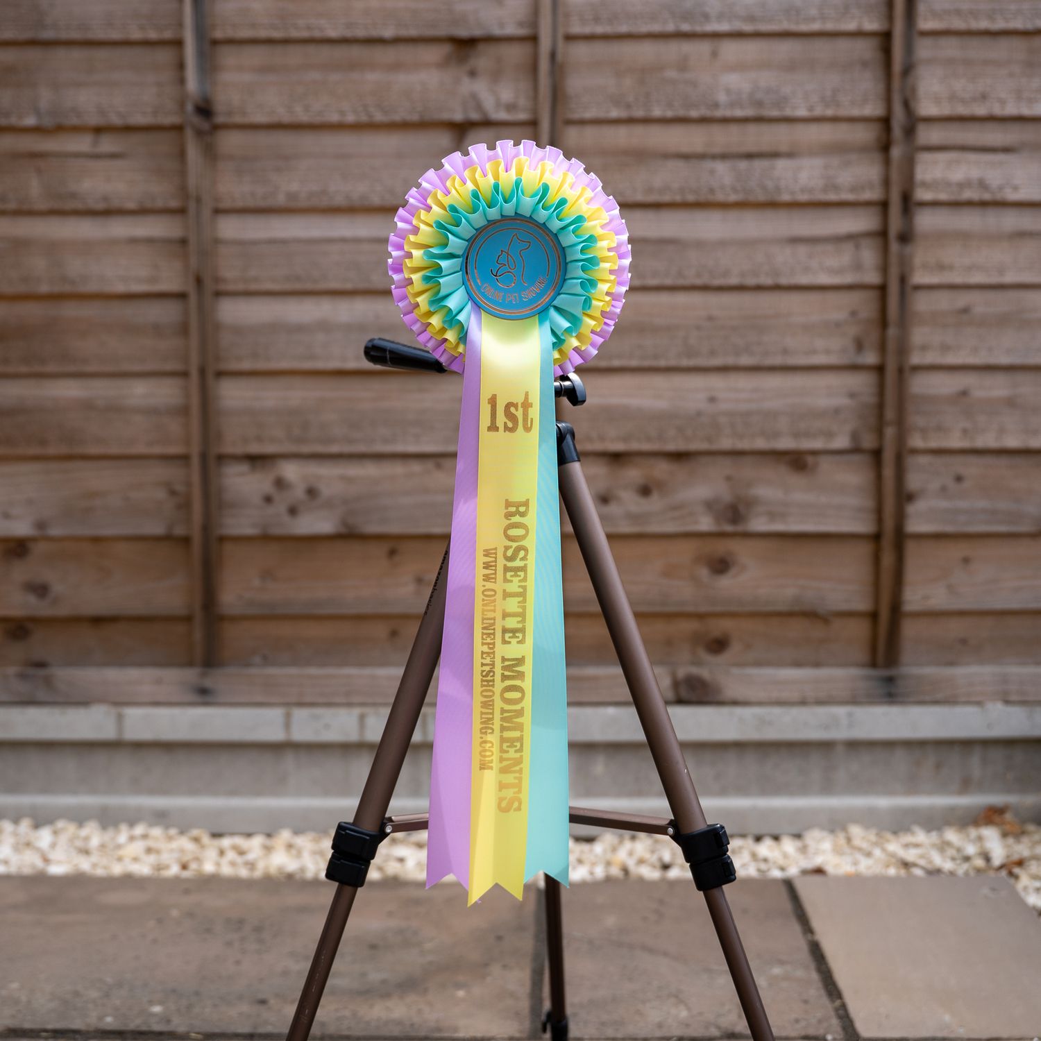 CLASS 5: ROSETTE MOMENTS