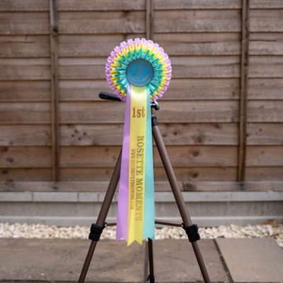 CLASS 5: ROSETTE MOMENTS