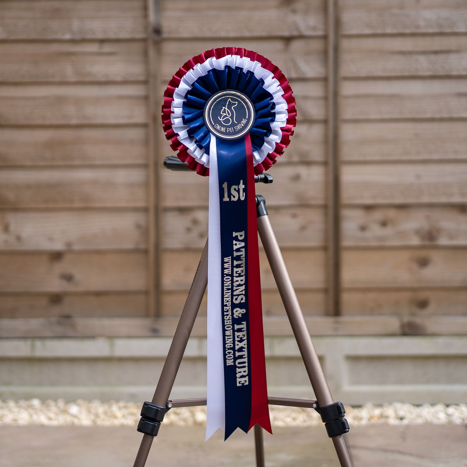 CLASS 10: PATTERNS &amp; TEXTURE