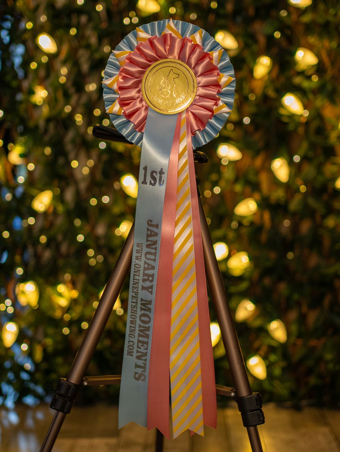 CLASS 15: JANUARY MOMENTS