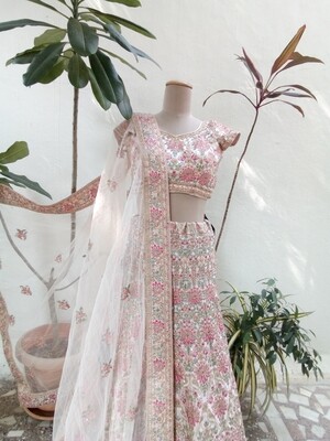 Multi colour embellished lehenga
