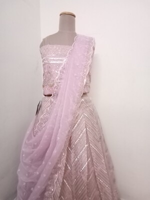 Flamingo colour organza lehenga