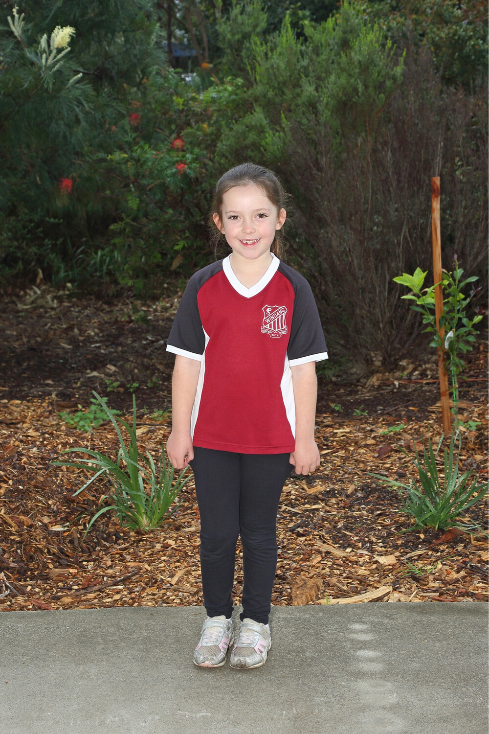 Adult Large Sport Shirt