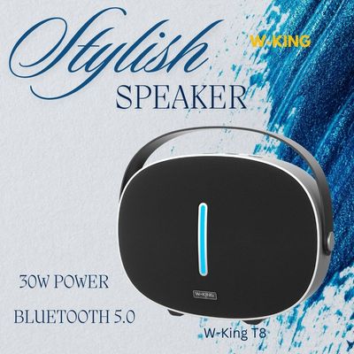 W-King T8 - Urban Chill Series - 30W Bluetooth Speaker - Stylish Powerful Portable - Perfect For Home