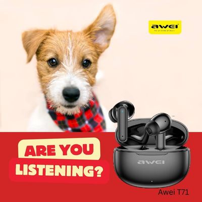 Earbud &#39;Connections&#39; - Wireless Earbuds + Charging Case - Bluetooth Audio - Awei T71