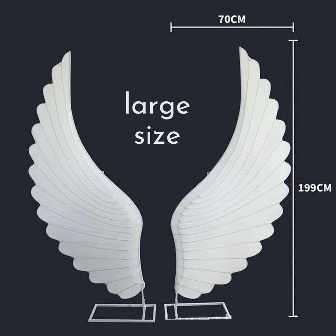 4555943597.jpg