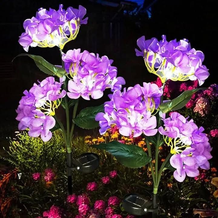 Hydrangea Solar Flowers - Light Up Your Garden At Night - Waterproof