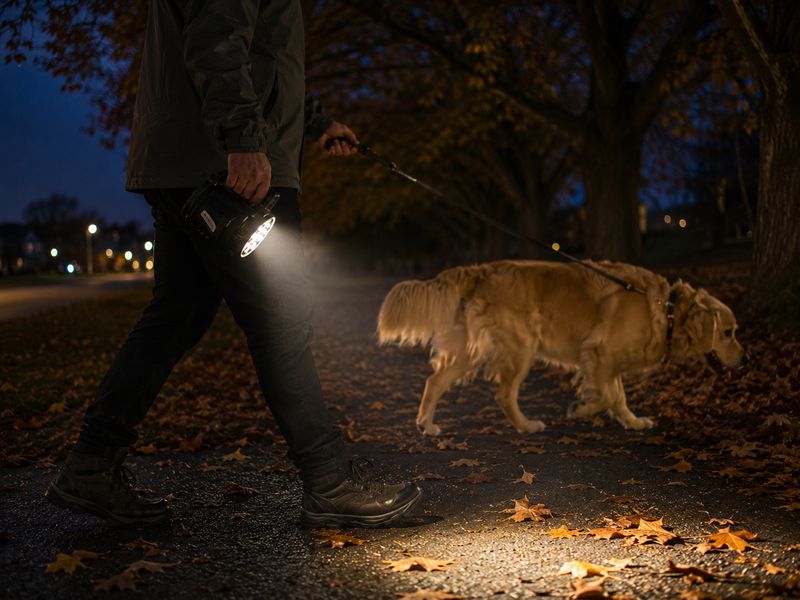 Medium rechargeable wide beam LED work light lighting a walking path while walking a golden retriever at dusk, ideal for dog