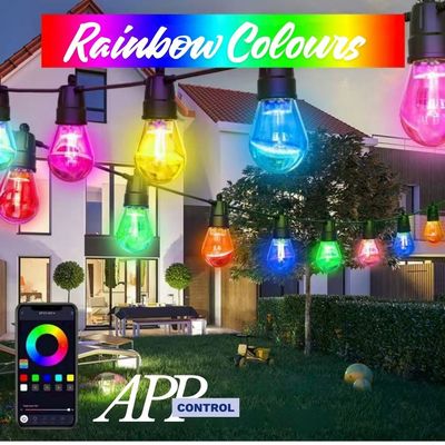 Smart RGB Festoon Lights For Parties &amp; Events - App Control - Remote Control - 15m | 20 Bulbs