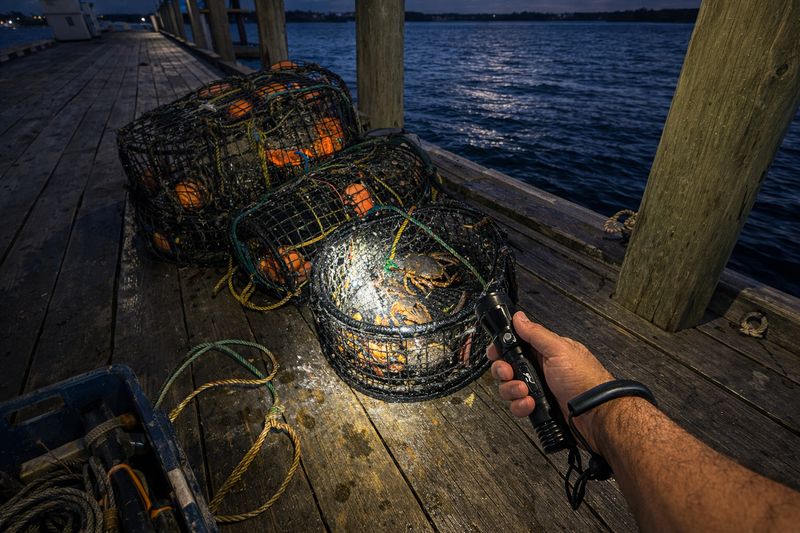 Hand holding waterproof LED torch illuminating crab pots on wooden pier at night, checking crabbing gear beside the water