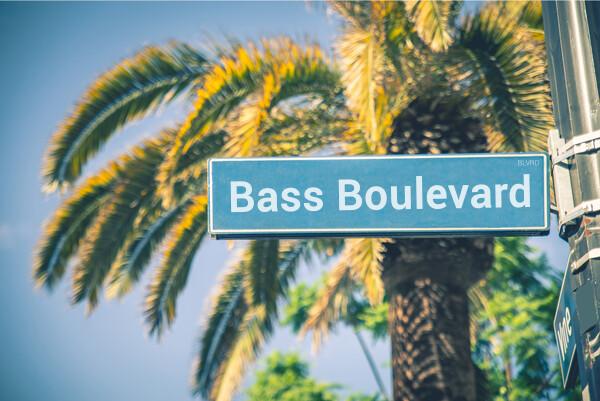 Bass Boulevard | Study with 5 bass masters!