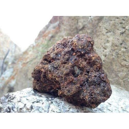 PREMIUM QUALITY| 100% pure and natural Shilajit/ Shilajit Resin from the Himalayan Mountains. (10 gms)