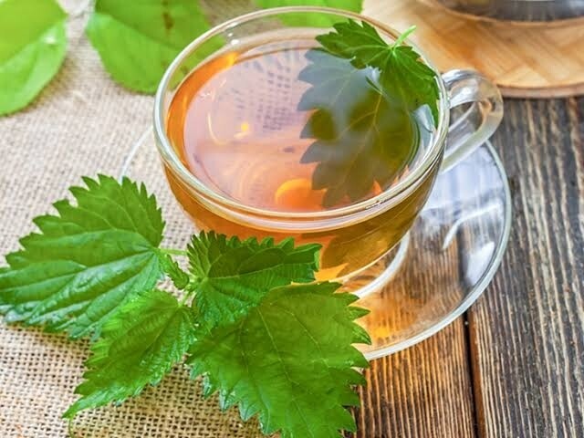 PREMIUM QUALITY| Himalayan Dried Nettle Leaves Tea  (In 100 gm airtight zipper pouch)