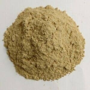 PREMIUM QUALITY| 100% pure and organic | Stinging Nettle Root Powder from the Himalayas ( In 100 gm airtight zipper pouch )