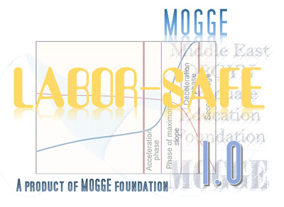 MOGGE AmbGy 1.0 (E-gynecologic clinic)