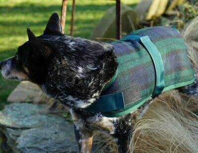 outward hound silverton