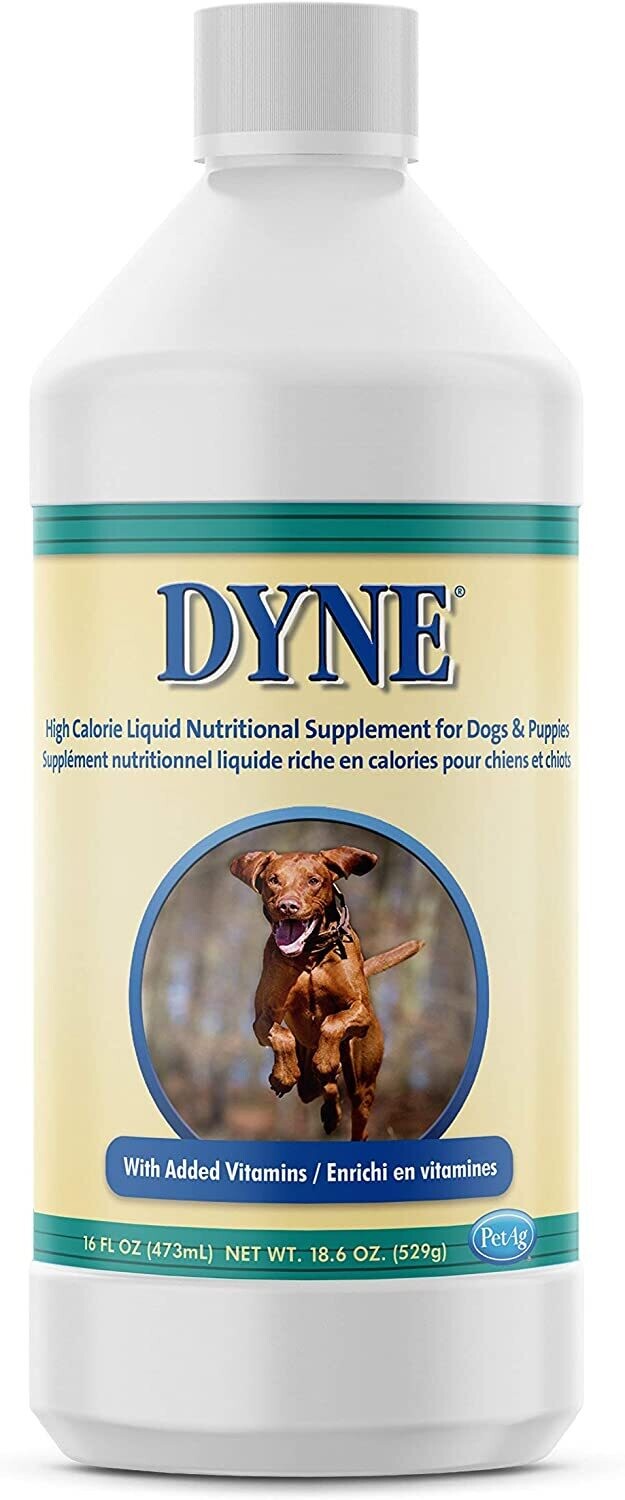 udkast Colonial slap af Pet Ag DYNE High Calorie Supplement Dog 16oz