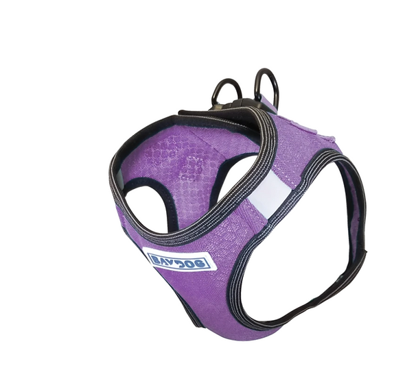 BayDog Liberty Bay Harness Violet XXS 9-11&quot; (Clearance $15.99)