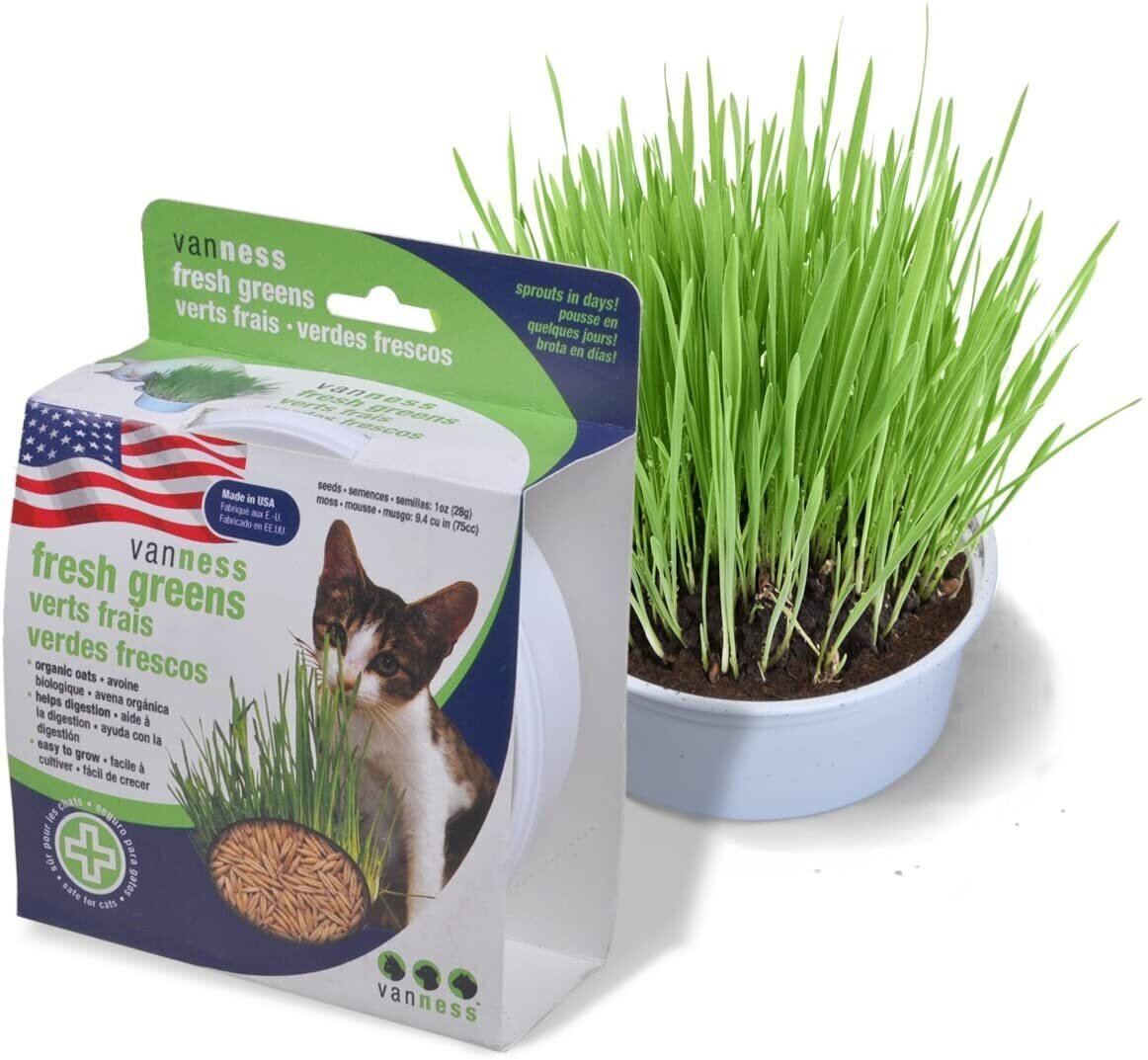 Van Ness Kitty Greens GK1