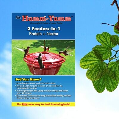 Humm-Yumm 2 In 1 Hummingbird Feeder (Clearance $29.99)
