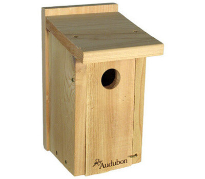 Audubon Cedar Bluebird House